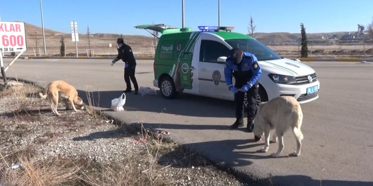 Aksaray’da hayvan koruma polisleri sokak hayvanlarının tüm ihtiyaçları karşılıyor