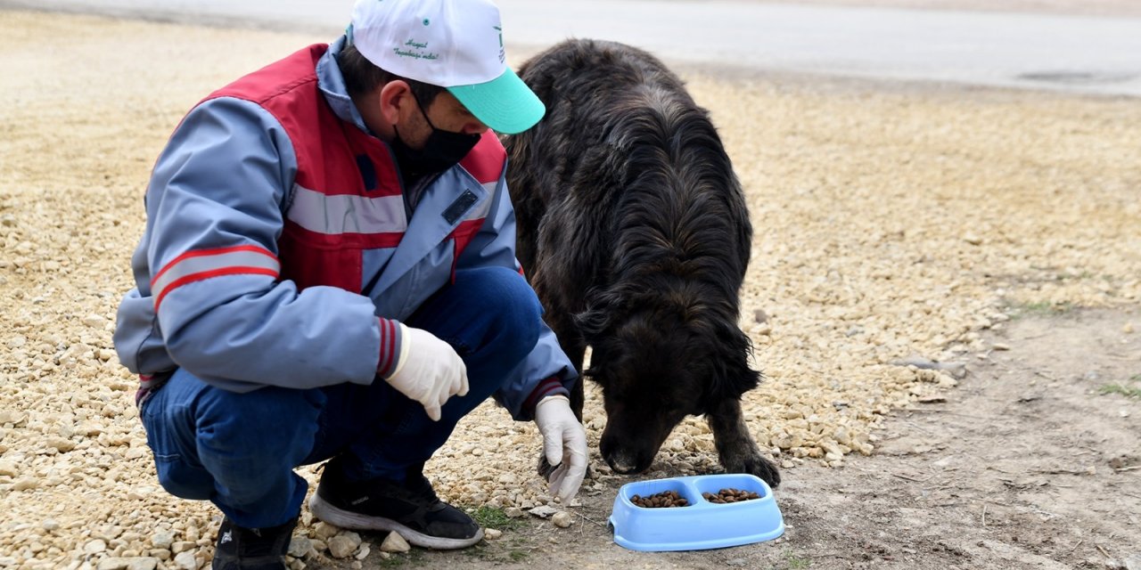 Sokaktaki canlar unutulmuyor