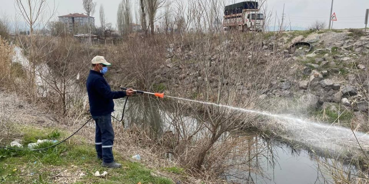 İnönü Belediyesi larva ilaçlama çalışmalarını sürdürüyor