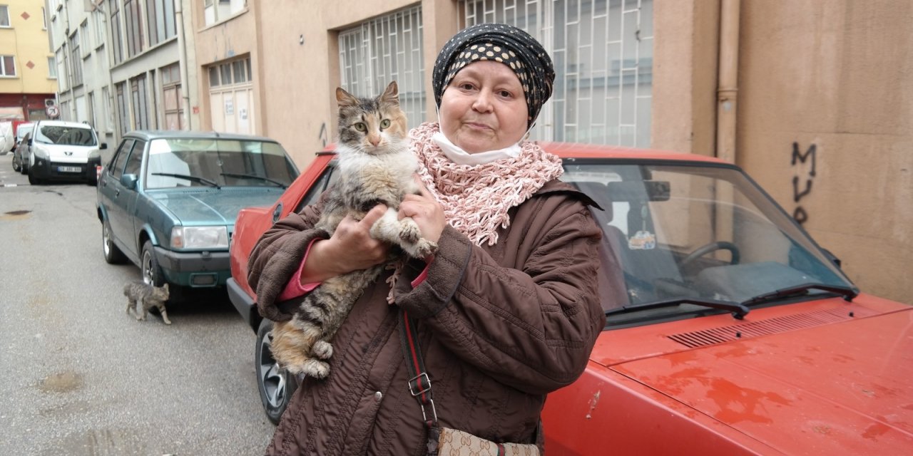 Kaplarda naftalin görünce mahkemeye başvurdu