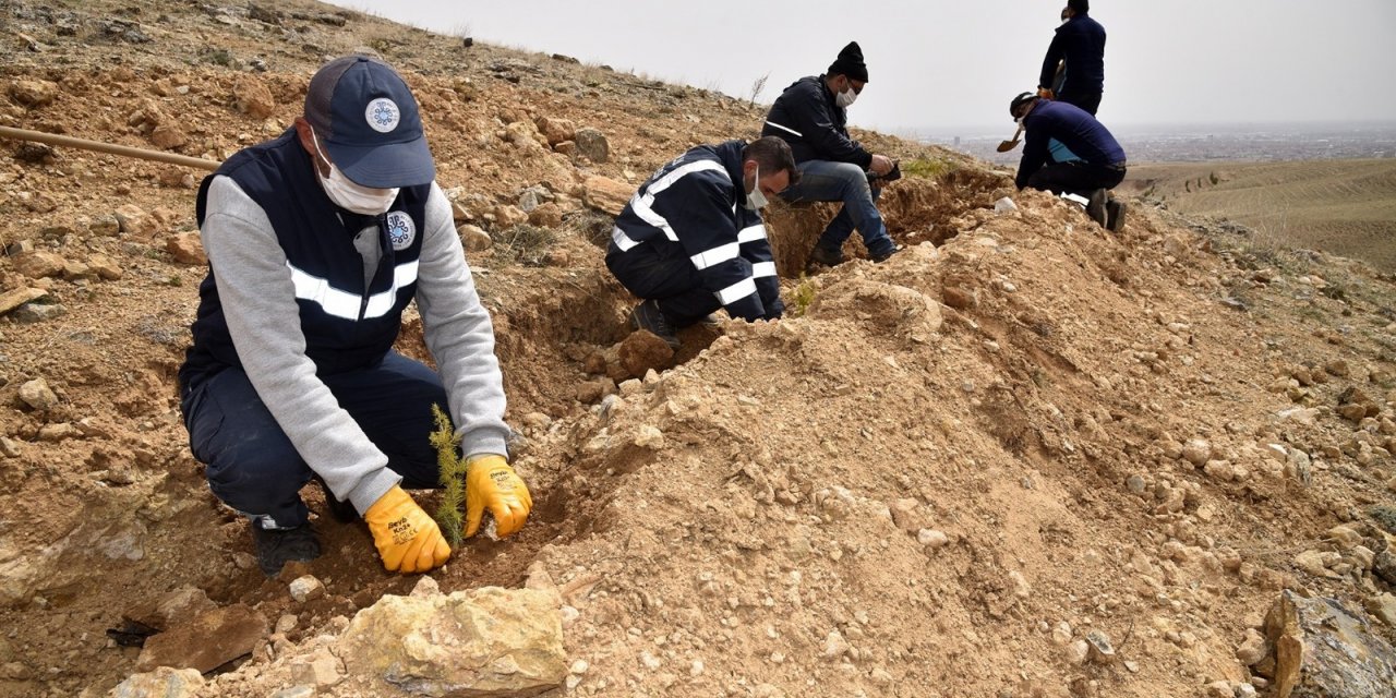 Selçuklu Belediyesi 5 bin fidanla yeşil dokuya katkı sağladı