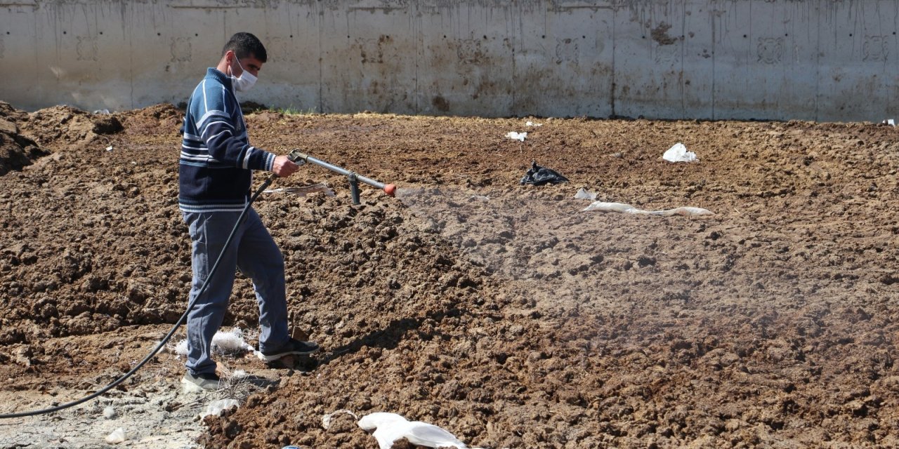 Polatlı Belediyesinden sinekle mücadelede yeni çözüm