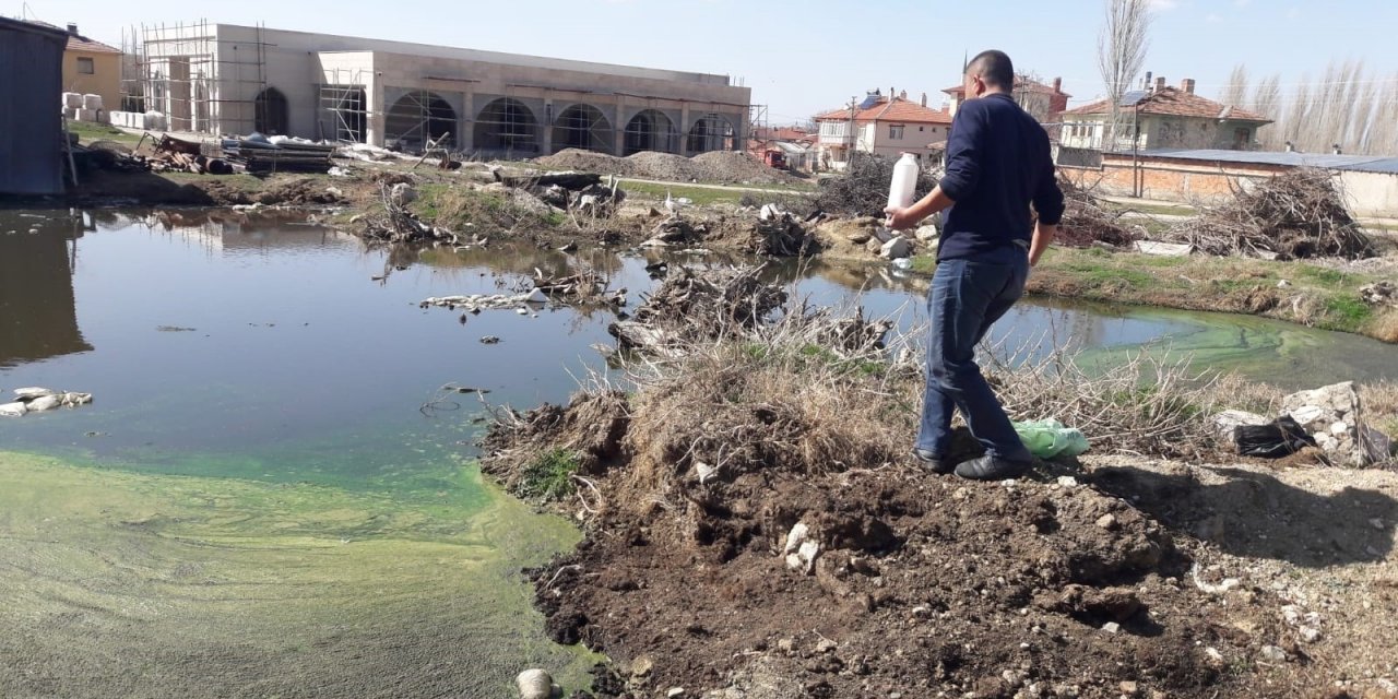 Sinek ve haşere ile mücadele erken başladı