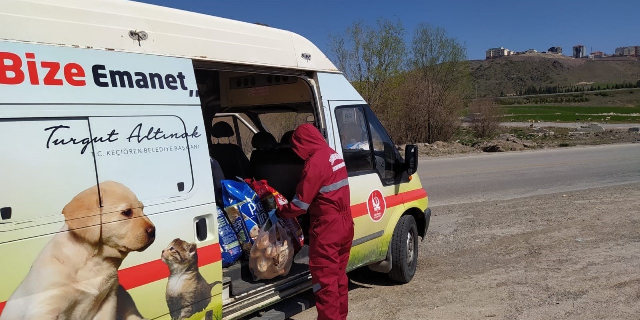 Başkentte sokak hayvanlarını besleme timi kuruldu