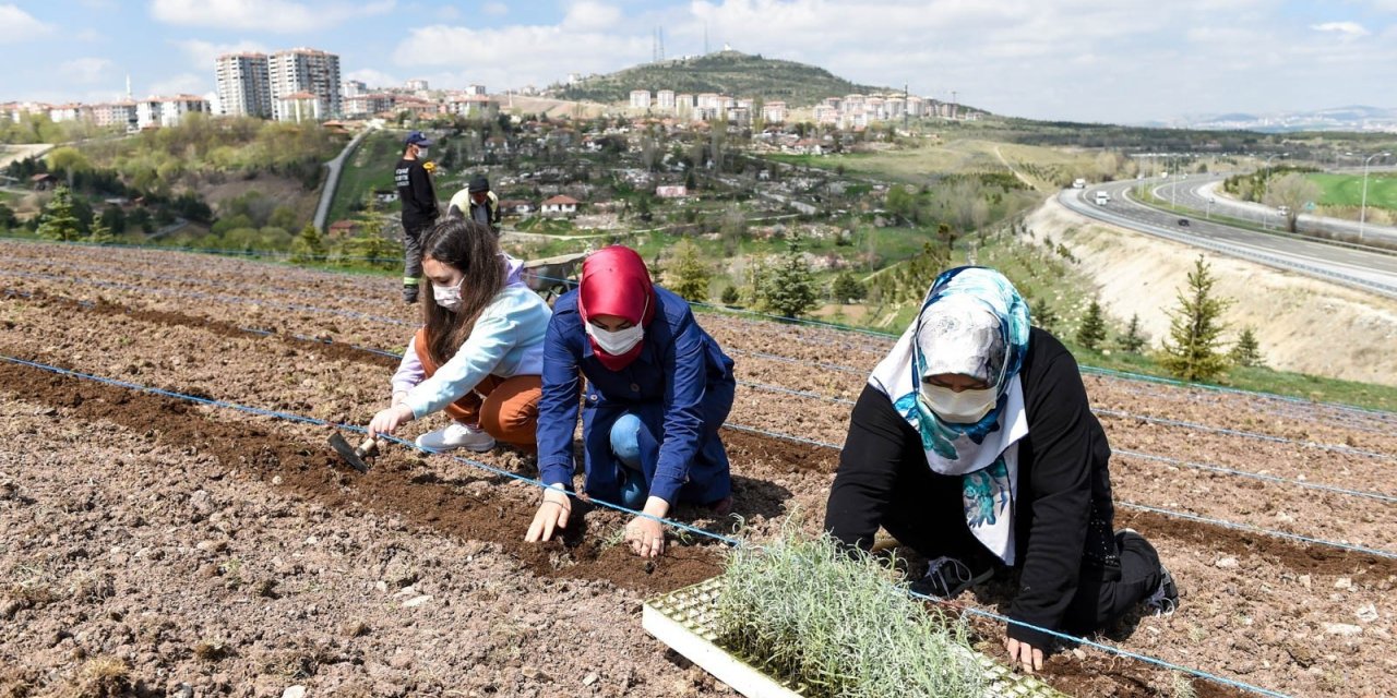 Altındağ çiçek açtı