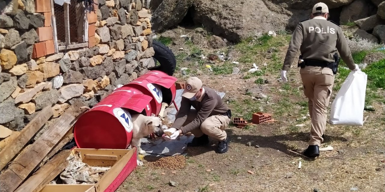 Tam kapanma sürecinde sokak hayvanları unutulmadı