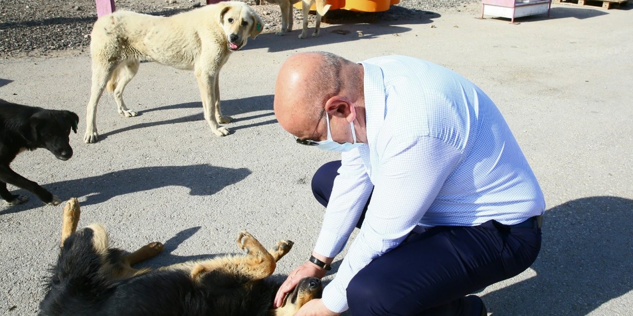 Başkan Altınok’tan can dostlara yakın ilgi