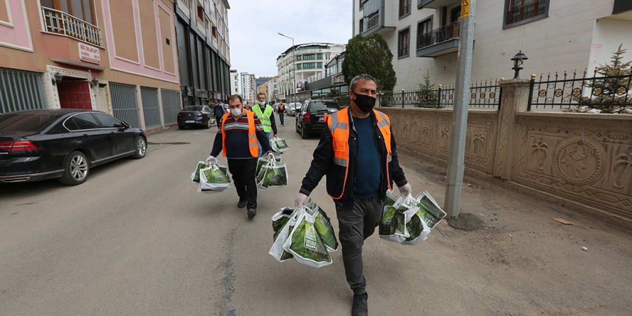 Yeni oluşturulacak orman için tohumlar dağıtılıyor