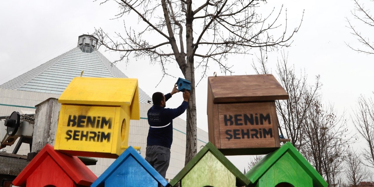 Konya’da şehir geneline kuş evleri monte edildi