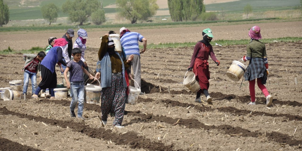 Tarımın bel kemikleri Ramazan ayında işlerinin başında