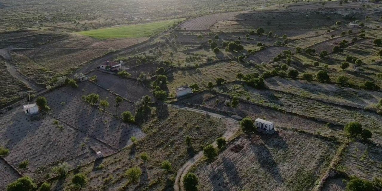 Üzümüyle meşhur İncesu’da bağlar yeşerdi