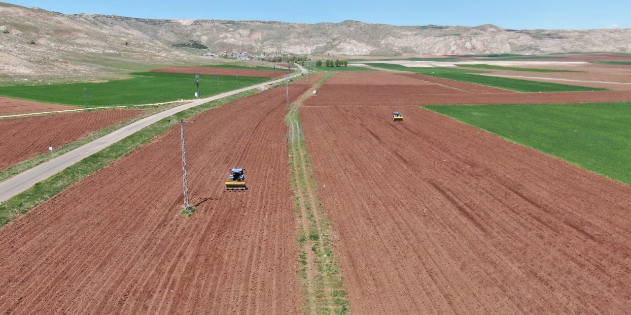 Patates üretiminde ilk sıralarda olan Sivas’ta tohumlar toprakla buluştu