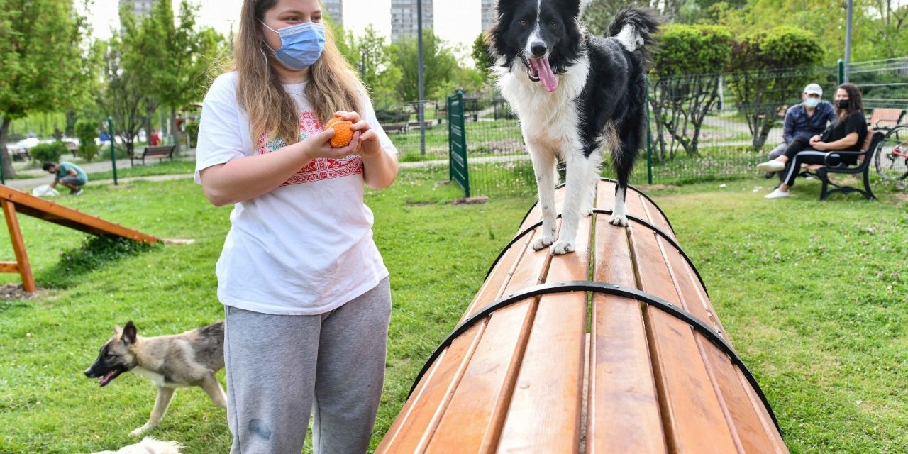 Ankara Büyükşehirden hayvanseverler için pati parkları