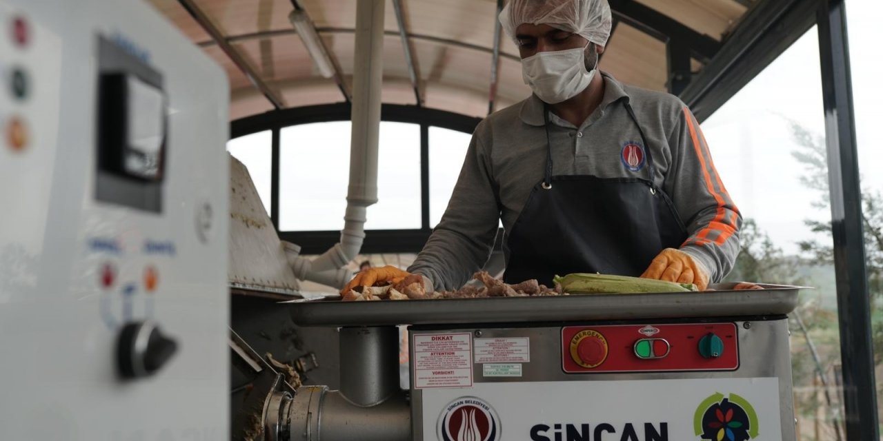 Sincan Belediyesinden sokak hayvanlarına yaş mama tesisi