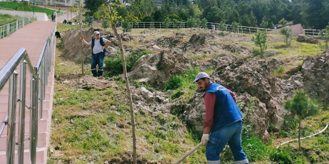 Ağaçlandırma seferberliğinde vatandaş ve belediye işbirliği