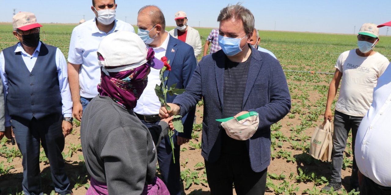 Vali traktörle tarlayı sürüp çapa yaptı, kadın çiftçilere gül verdi