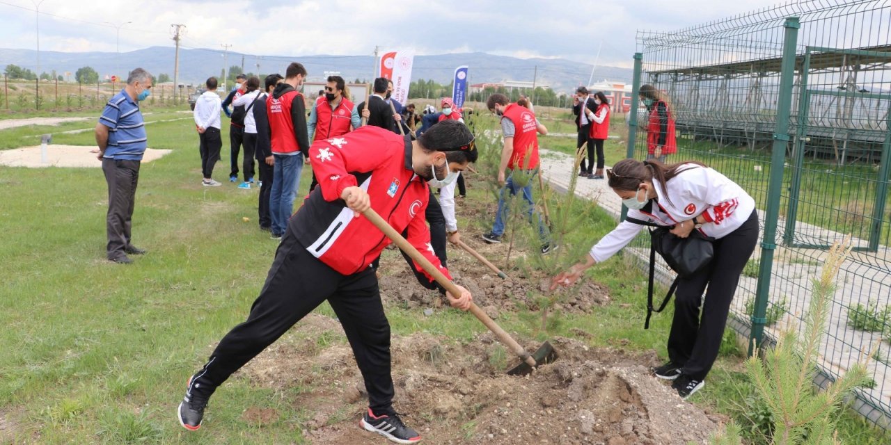 Gençlik Haftası’nda fidan dikim etkinliği