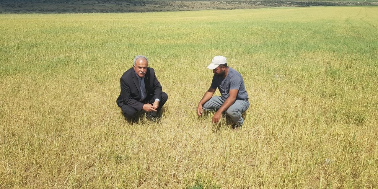 Kulu’da kuraklıktan ekili alanlar kuruyor