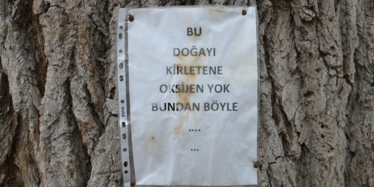 Bu ağaç doğayı kirletenlere oksijen vermiyor