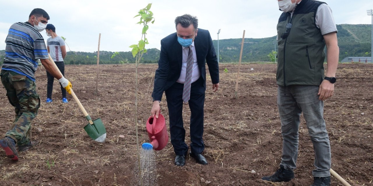 ESOGÜ Meşelik yerleşkesinde 260 katalpa fidanı toprakla buluşturuldu