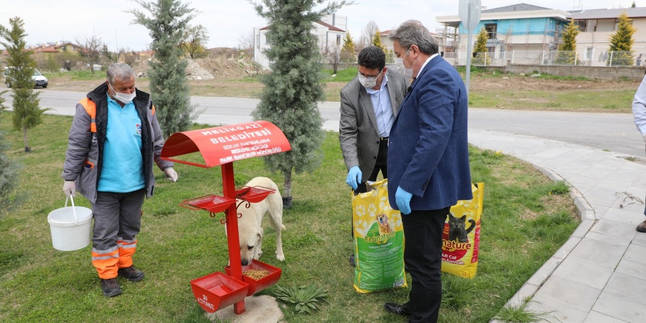 Tam kapanmada Melikgazi’de sokak hayvanları unutulmadı