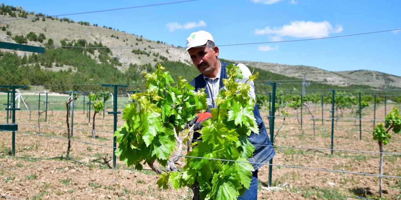 Bu köyde hayat var