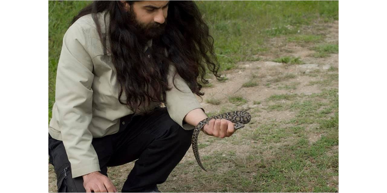 Nesli tükenme altında, Sivas’ta görüldü