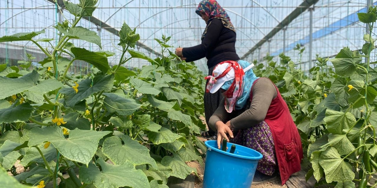 Bu yöntem sayesinde vatandaşlar meyve ve sebzeleri ucuza satın alıyor