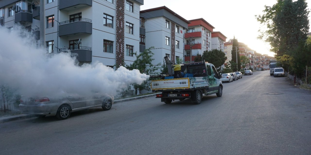 Beypazarı Belediyesi haşere ilaçlama çalışmalarını sürdürüyor