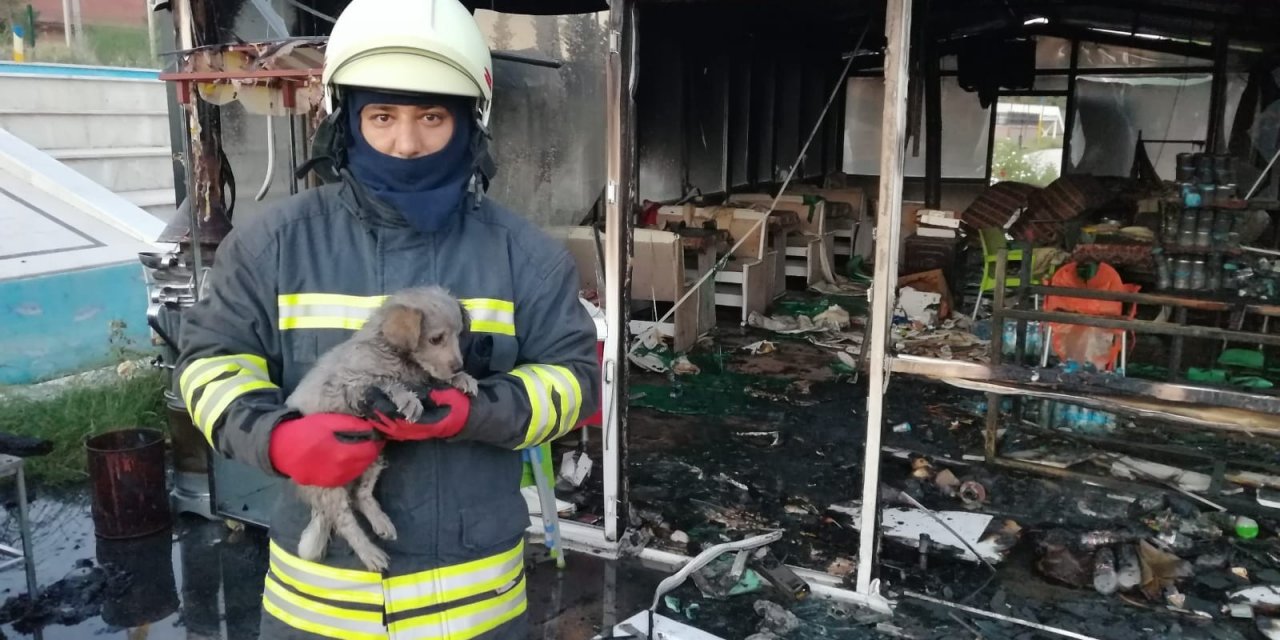 Konya’da büfe yandı, kediler ve köpek kurtarıldı