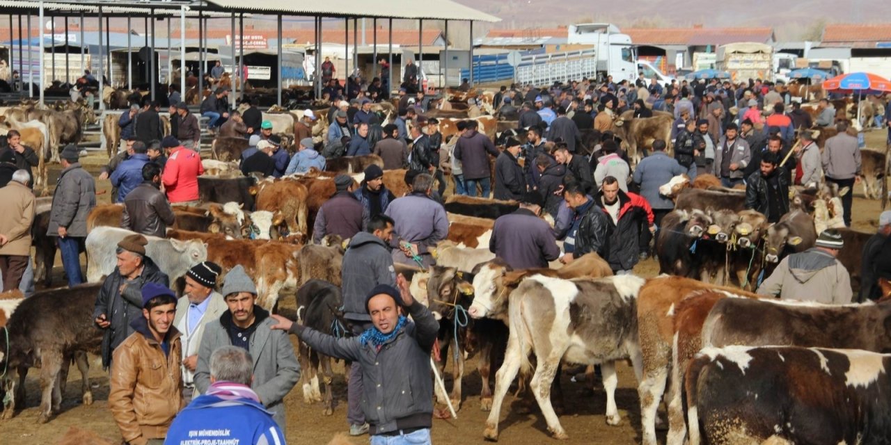 Şarkışla hayvan pazarı açılıyor