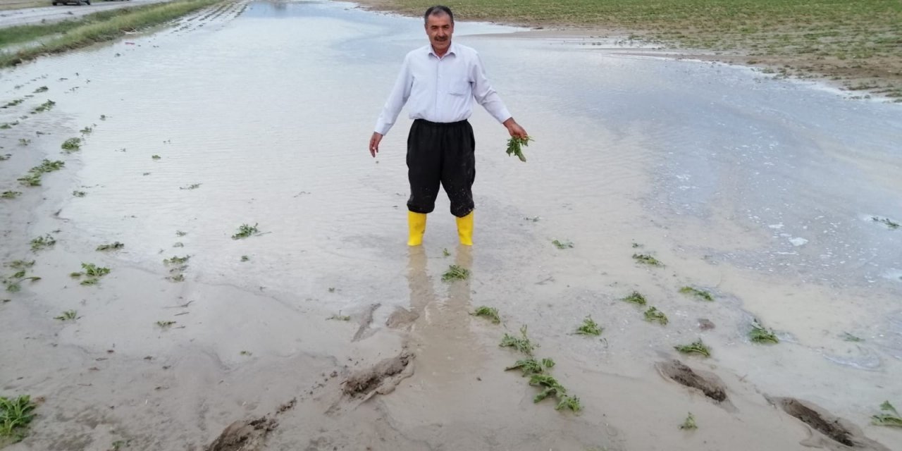 Yozgat’ta sel ekili tarım alanlarına zarar verdi