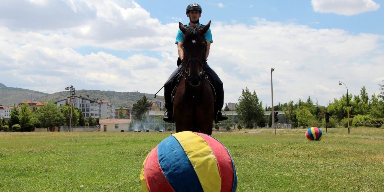 Futbolcuları aratmayan at