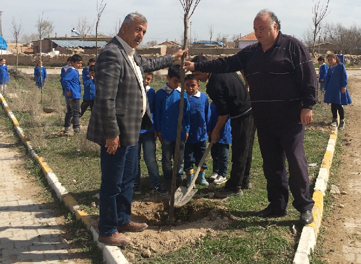 Aksaray Yapılcan Muhtarlığı Köye Bin Adet Fidan Dikti