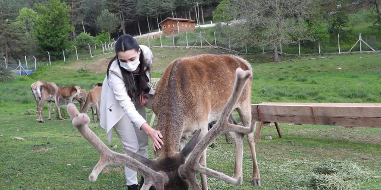 Alpu’dan Kızıl Geyik Üretim İstasyonuna ziyaret