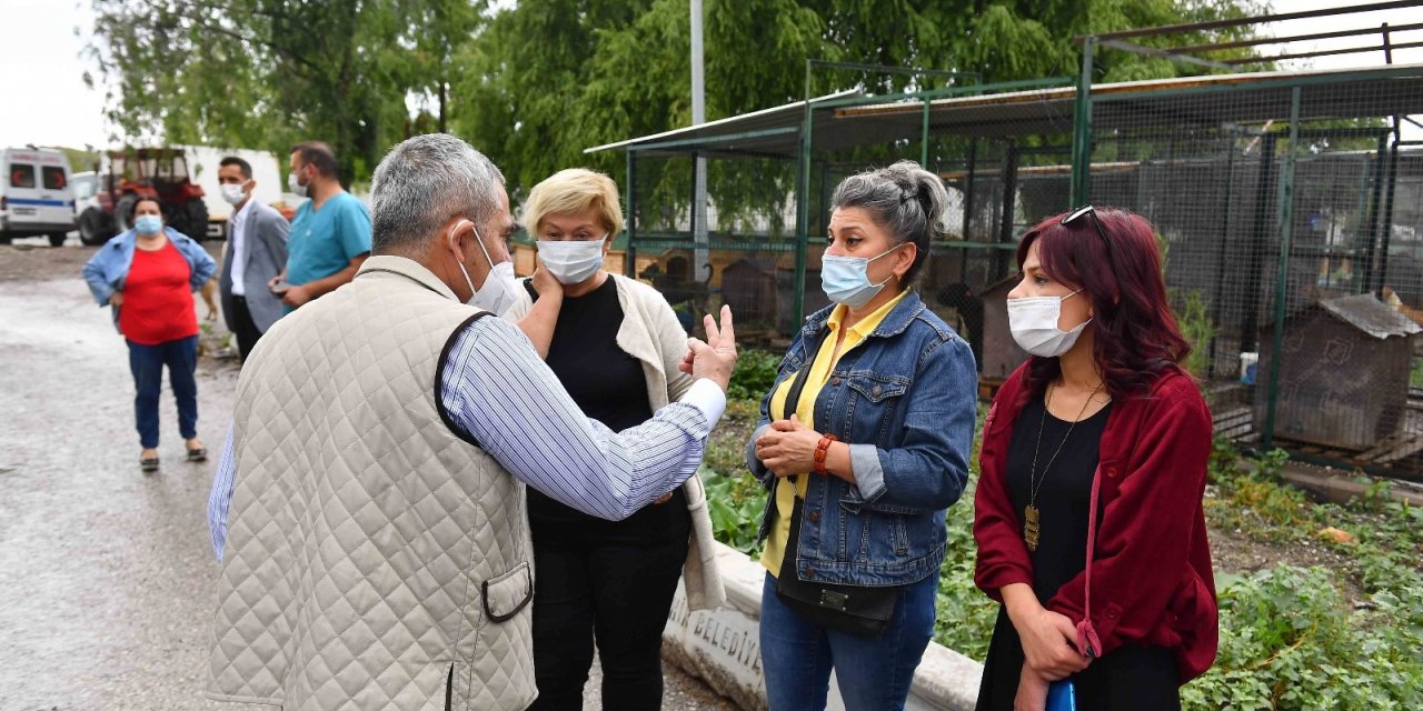 Ankara’da hayvanseverler ve belediye arasında iş birliği