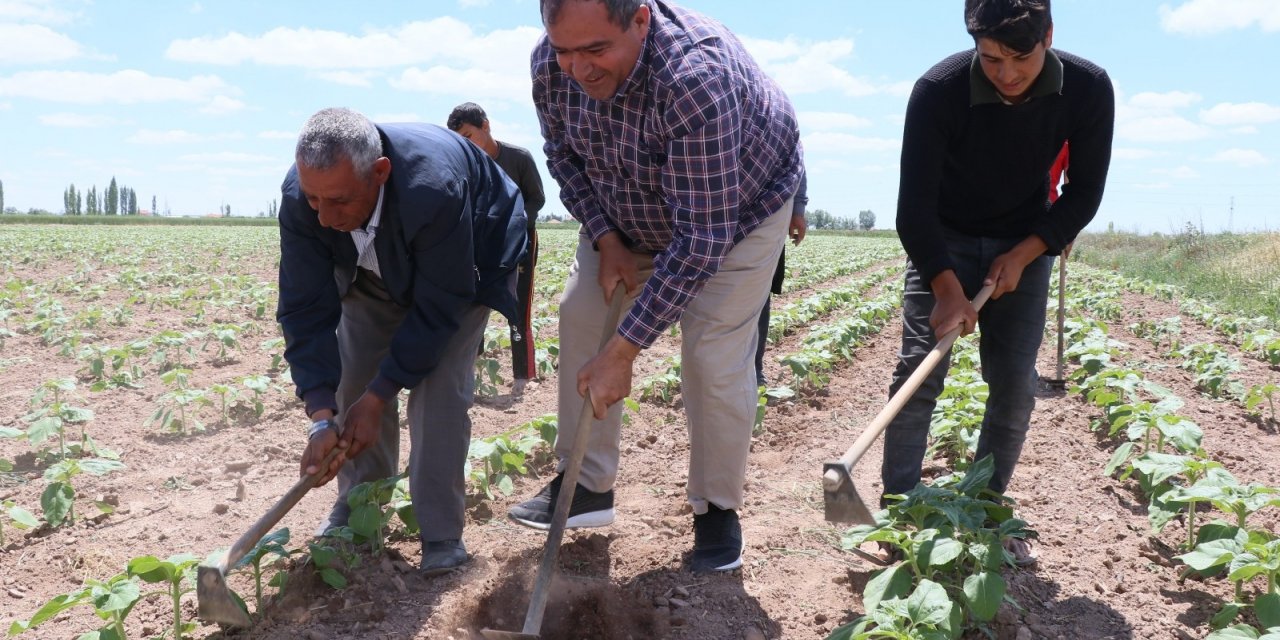 Aksaray’da tarımsal üretim hız kesmeden devam ediyor