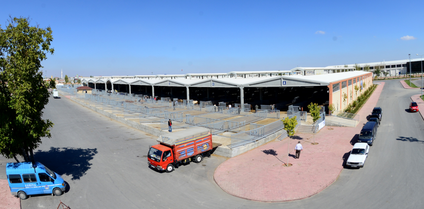 Konya‘da Kurban Satış Yerleri Başvuruları Başladı