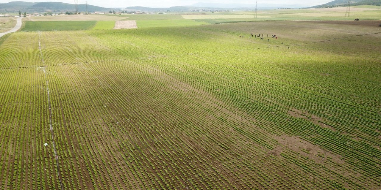 Eskişehir’de bu sulama sezonunda ekonomiye 900 milyon 250 bin liralık katkı hedefleniyor