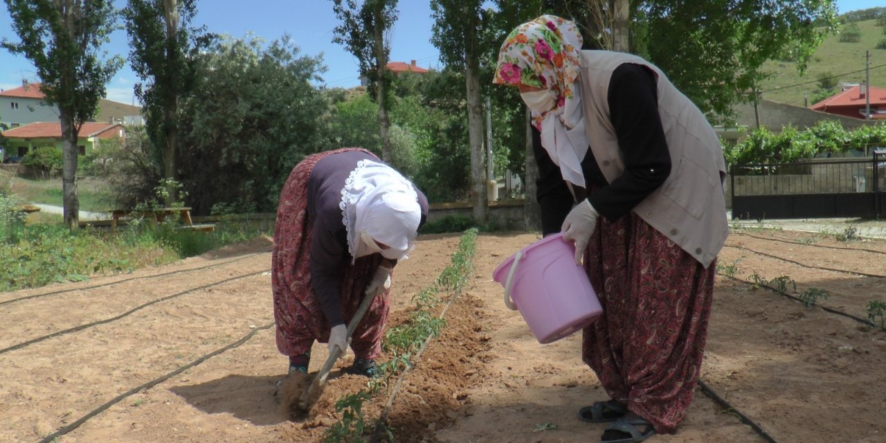 Çiftçi kadınlar yeni projeleri ile pandemide de üretmeye devam ediyor