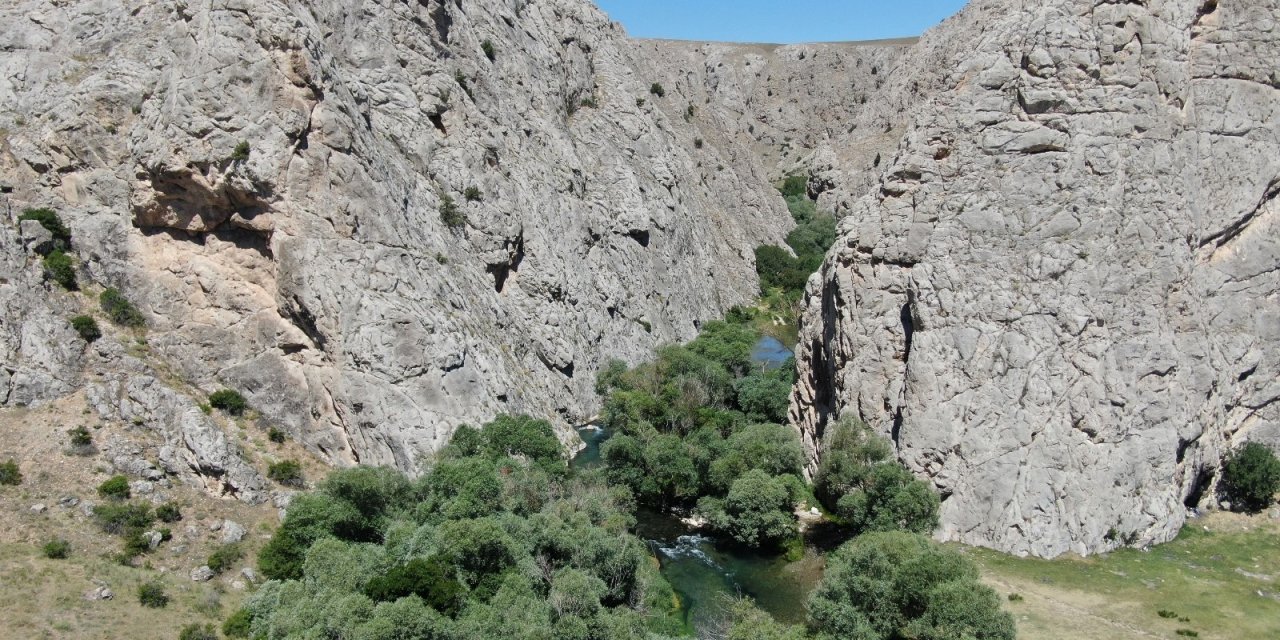 Kaymakam tanıtım için kendini Tohma çayının sularına bıraktı