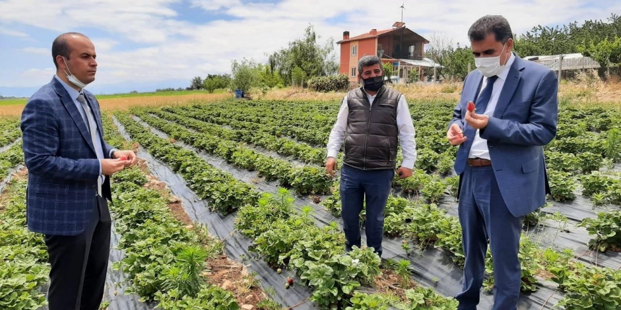 Hüyük’te coğrafi tescilli çileğin tanıtım ve eğitim toplantısı