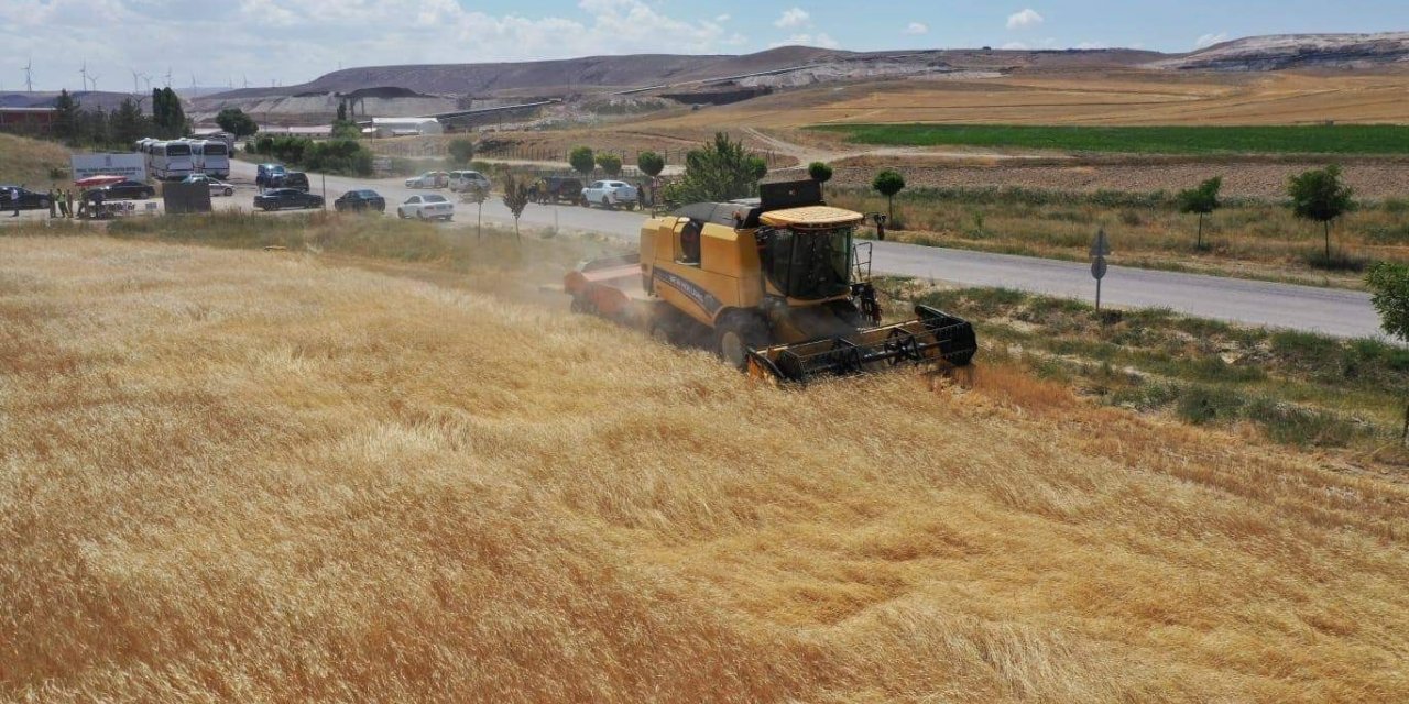 Sivas işlenen tarım alanında 4’üncü sırada