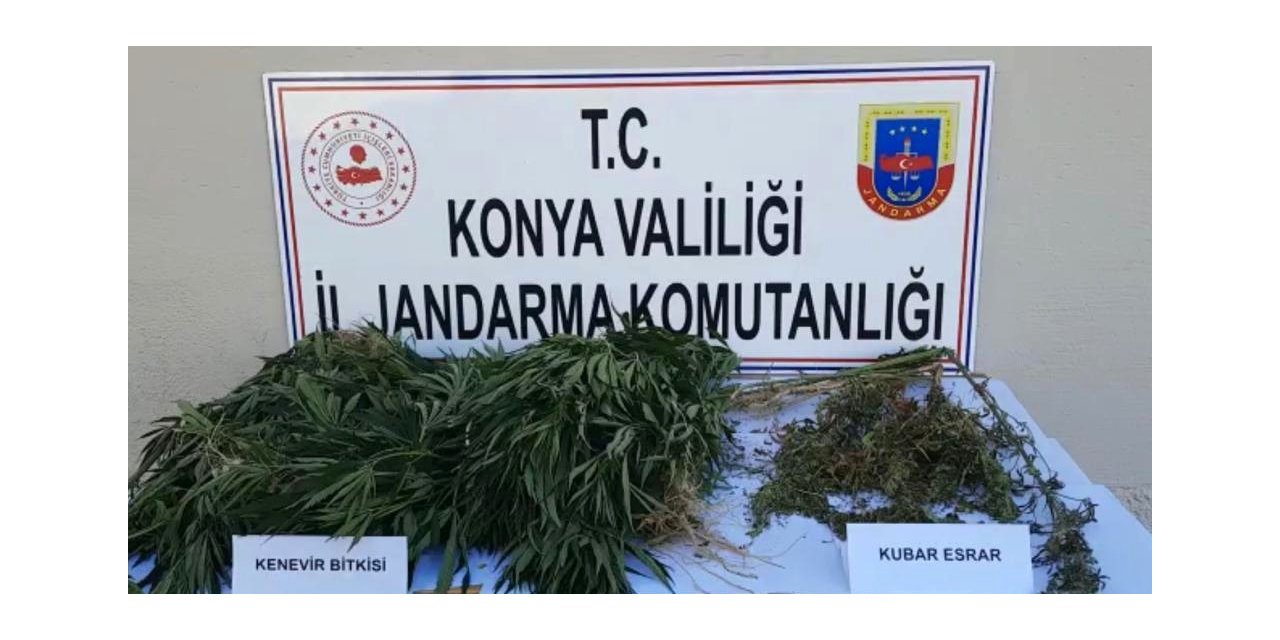 JASAT’tan yasa dışı kenevir ekenlere operasyon