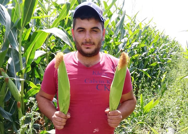 Mısır üreticisine önemli uyarı