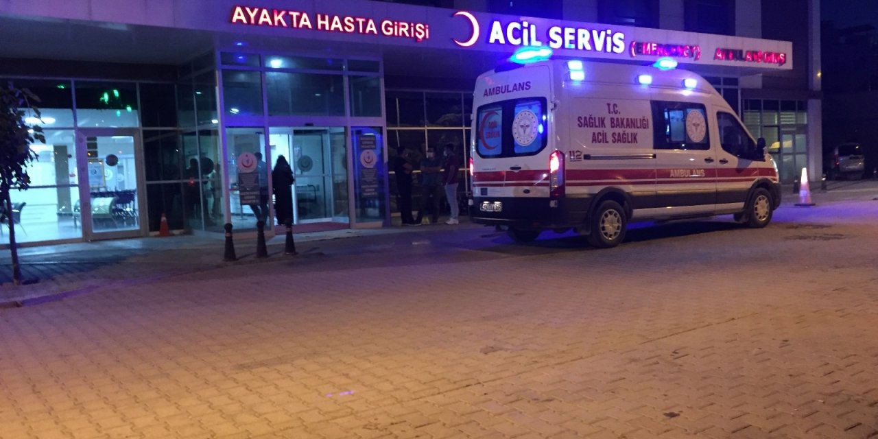 Arının soktuğu şahıs hayatını kaybetti