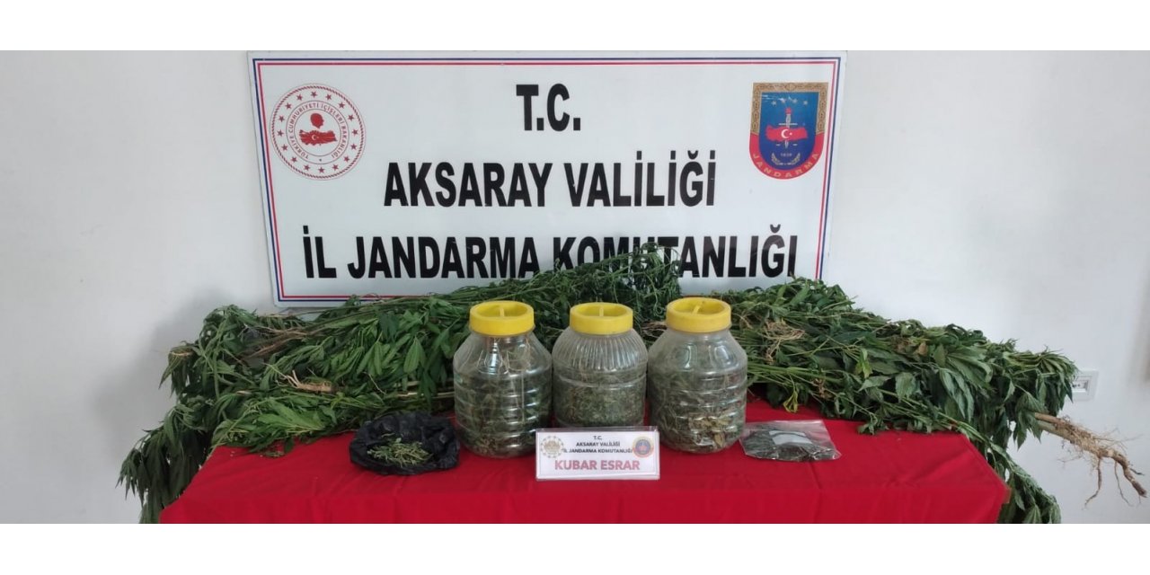 Aksaray Jandarmadan köy evine kenevir operasyonu