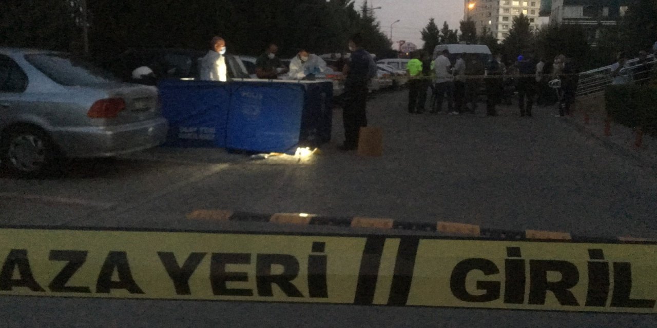 Abi kardeşin miras kavgası cinayetle bitti