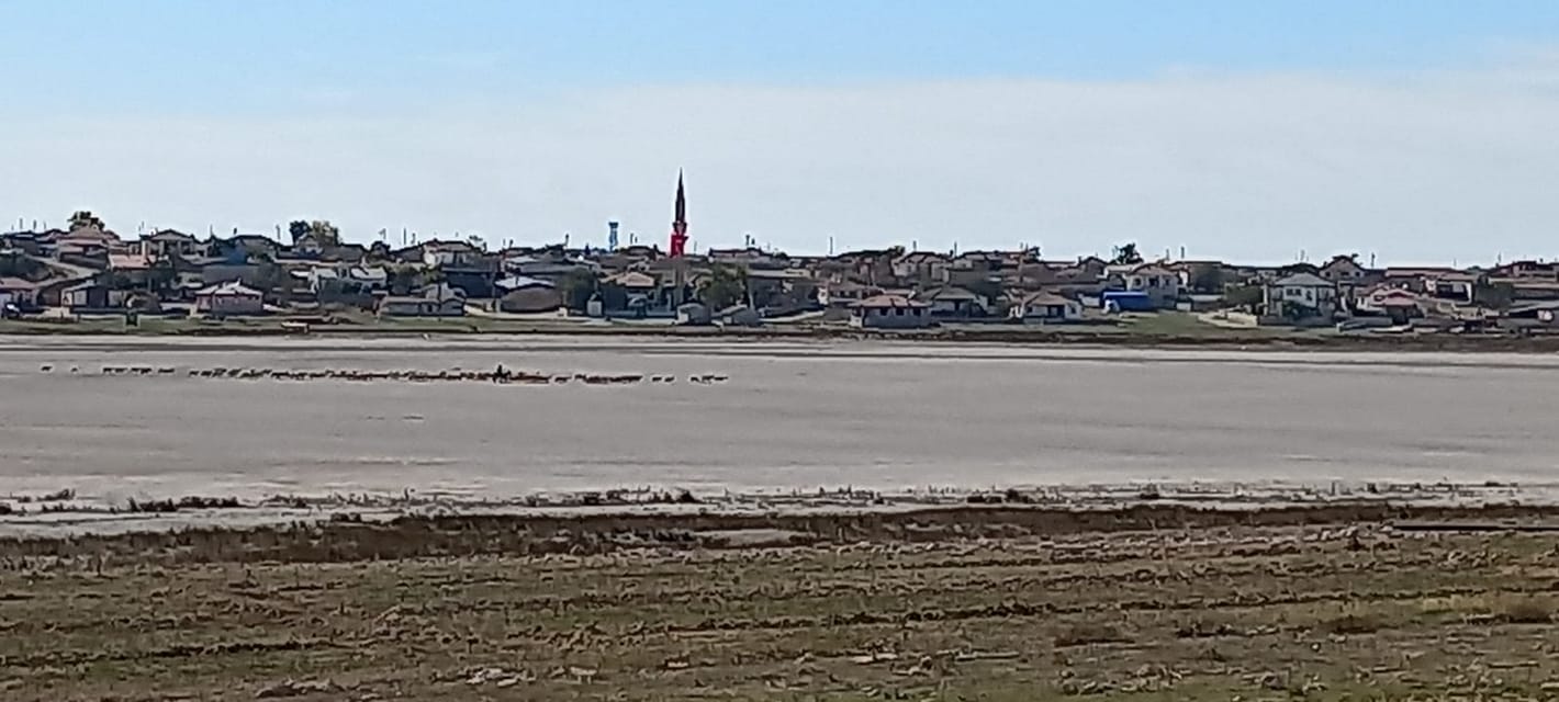 Akgöl'ün üstünde dün kuşlar uçuyordu, bugün içinden koyunlar geçiyor!