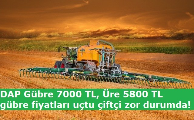 DAP Gübre 7000 TL, Üre 5800 TL gübre fiyatları uçtu çiftçi zor durumda!